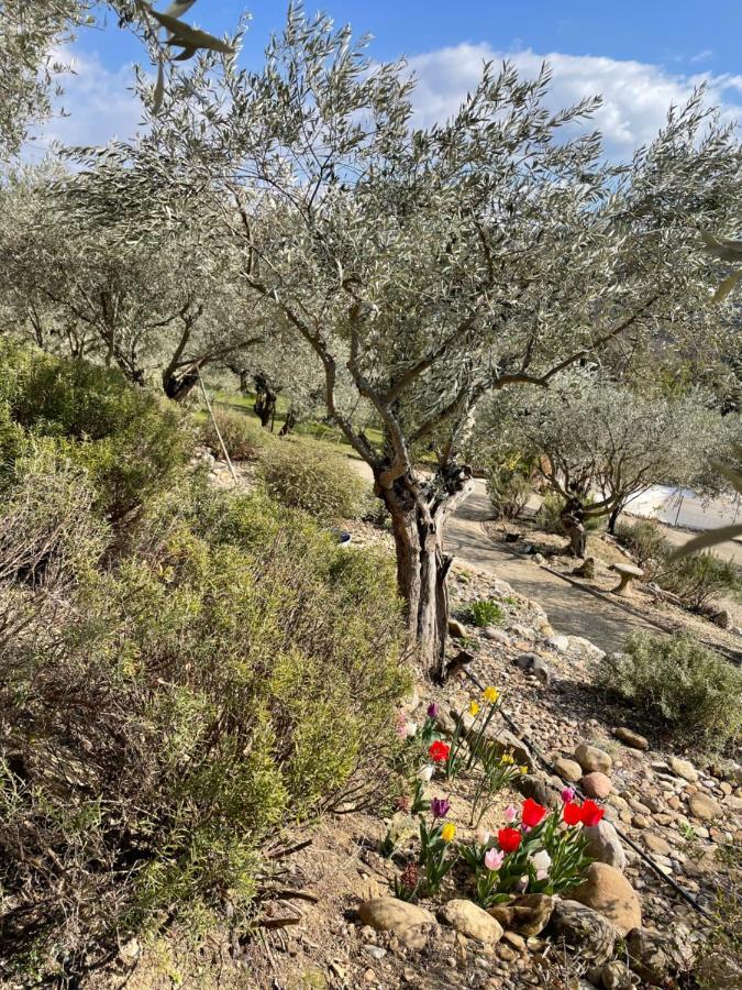 Gite La Maison Dans L'Olivette Oraison Bagian luar foto