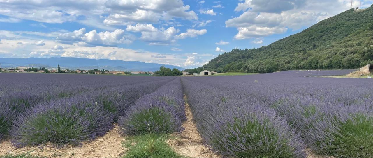 Gite La Maison Dans L'Olivette Oraison Bagian luar foto